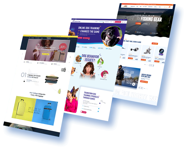 Company Website Design